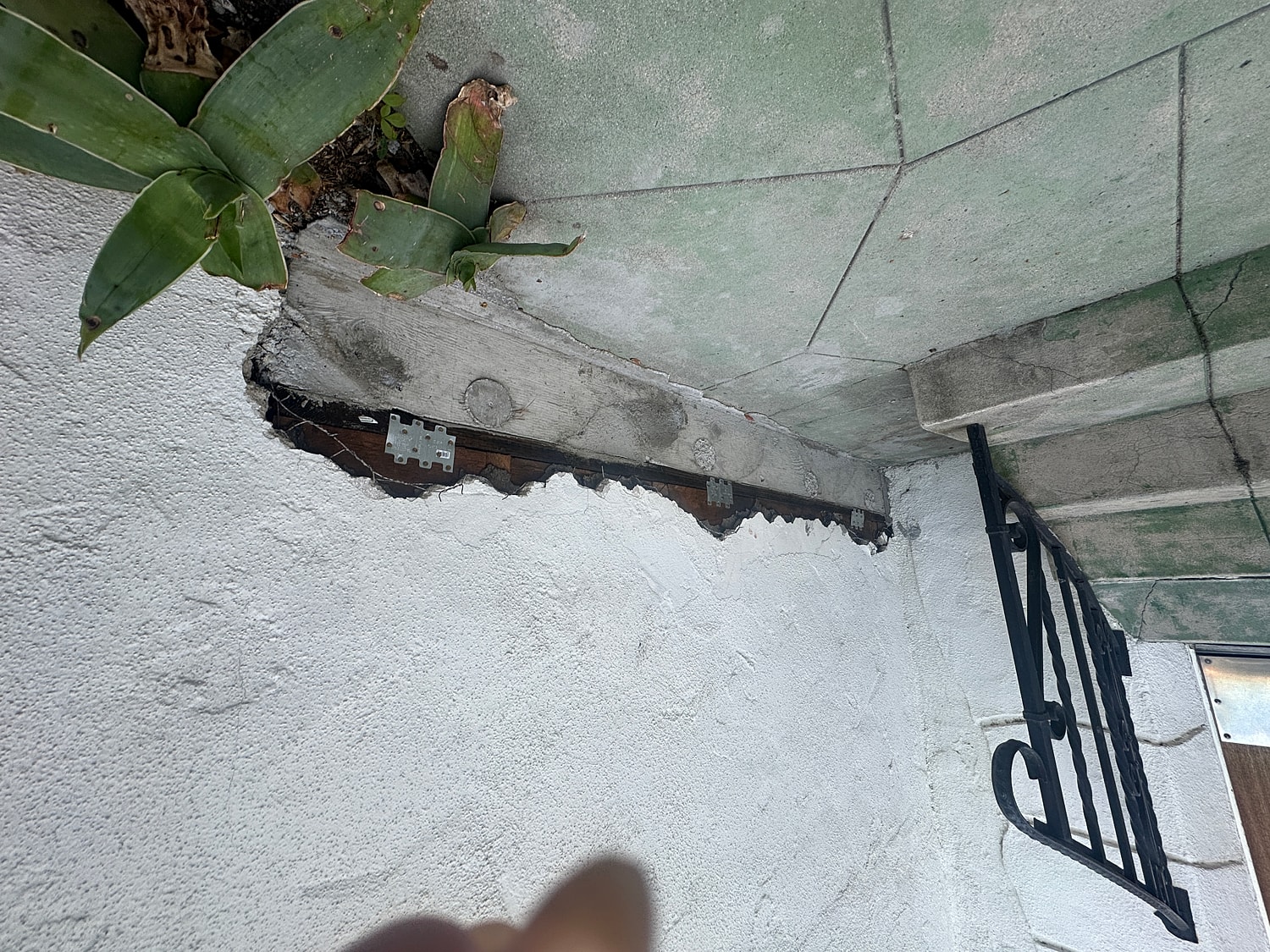 Wall damage near plant and metal support.